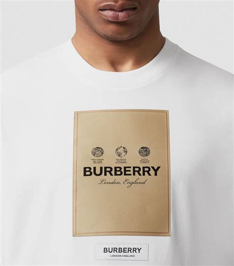 burberry brown t shirt|Burberry shirts cost.